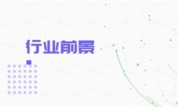 raybet雷竞技入口家政服务行业市场分析(图4)