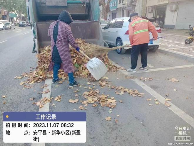 雷竞技RAYBET安平县：积极清扫落叶 确保城市“颜值”不掉线家政(图3)