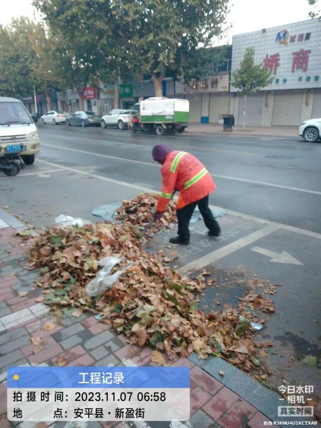 雷竞技RAYBET安平县：积极清扫落叶 确保城市“颜值”不掉线家政(图2)