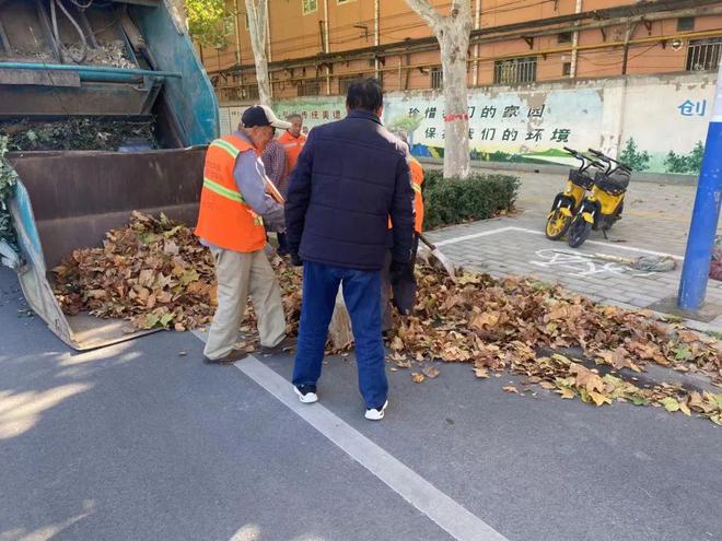 雷竞技RAYBET安平县：积极清扫落叶 确保城市“颜值”不掉线家政(图5)