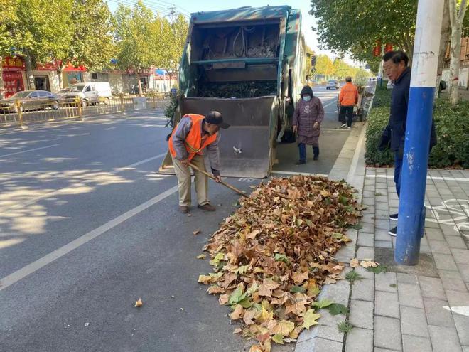 雷竞技RAYBET安平县：积极清扫落叶 确保城市“颜值”不掉线家政(图4)