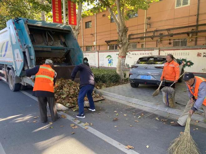 雷竞技RAYBET安平县：积极清扫落叶 确保城市“颜值”不掉线家政(图6)