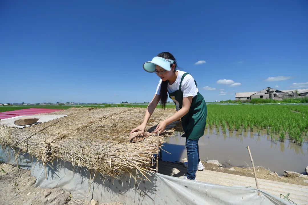 raybet雷竞技入口雷竞技RAYBET保洁裱花学徒、农艺师、高端家政……大学生在“轻体力工作”中找到新活法raybetapp(图1)